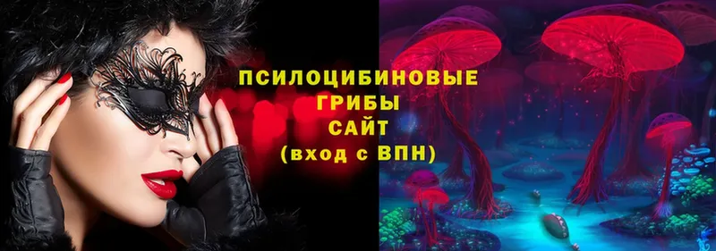 Псилоцибиновые грибы мухоморы  Александровск-Сахалинский 