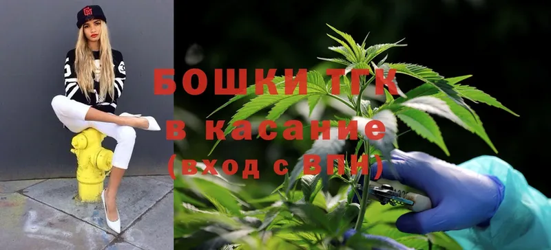 Марихуана THC 21%  Александровск-Сахалинский 